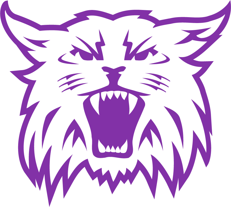 Weber State Wildcats 2008-2012 Secondary Logo iron on transfers for clothing